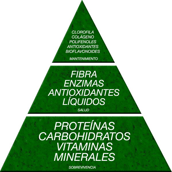 piramide-alimentaria